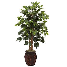 44 in. Ficus Tree with Decorative Planter