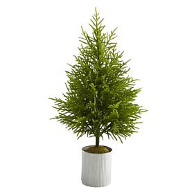 49 in. Norfolk Island Pine Natural Look Artificial Tree