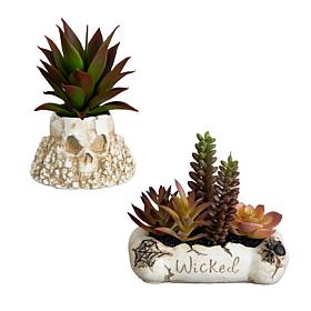 5-in Succulent Garden in Haunted - Set of 2 by Nearly Natural