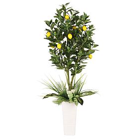 6 ft. Artificial Lemon Tree with White Decorative Pot