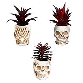 6-in See No Evil Skull Decor - Set of 3 by Nearly Natural