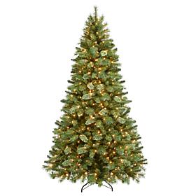 7.5' Pre-Lit Teton Pine Artificial Christmas Tree - 600 Clear Lights