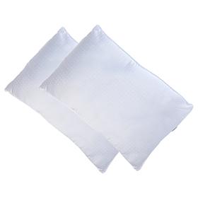 "As Is" Concierge Collection 100% Polyester Standard Pillow 2-pack