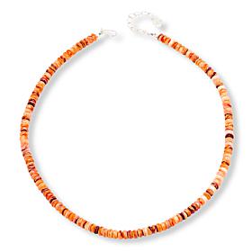 "As Is" Jay King Mexican Lion's Paw Shell Bead 24" Necklace