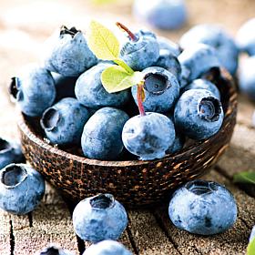 Blueberry Patch - Set of 3 Plants