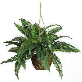 Boston Fern Silk Hanging Basket