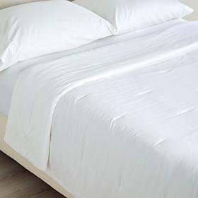 Concierge Collection Lyocell Silken Down Alternative Blanket Full/Q...