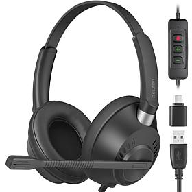 Delton 42Y Noise Canceling Binaural Computer Headset with Microphone