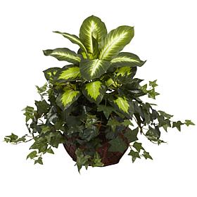 Dieffenbachia and Ivy with Decorative Planter