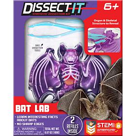 Dissect It Bat Lab  Synthetic Dissection Kit