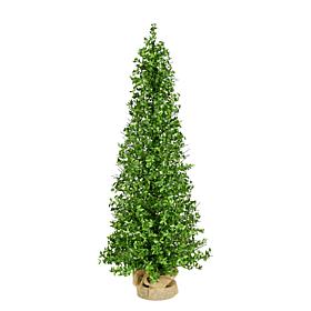 Fraser Hill Farm 4-Ft. Boxwood Porch Tree in Burlap Bag
