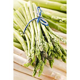 GMO Free Asparagus Jersey Giant Set of 12 Roots