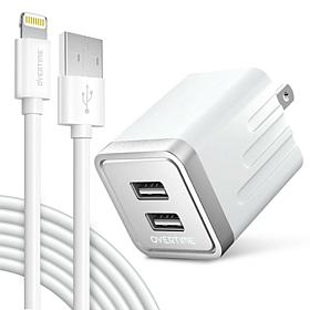 iPhone Charger Set: Wall Charger + 10 Ft Lightning Cable - Silver