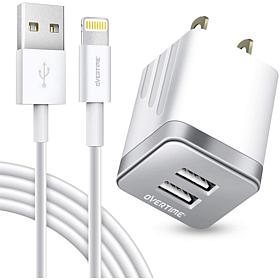 iPhone Charger Set: Wall Charger + 10 Ft Lightning Cable - Silver