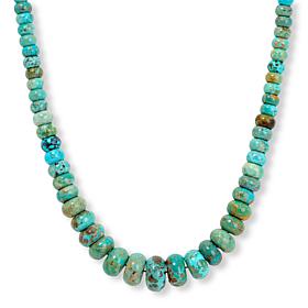 Jay King Spruce Mountain Turquoise Bead 18" Necklace