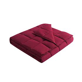 Lotus Home Stain Resistant Bacteria Inhibiting Throw, 50" x 70"