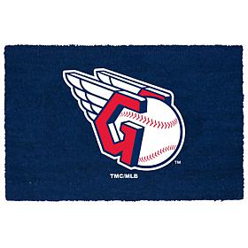 Memory Company Full Team Color Coir Fiber Doormat with Vinyl Backing