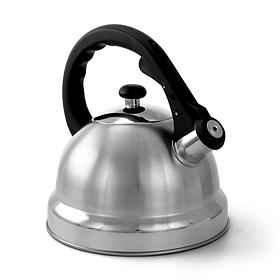 Mr.Coffee Claredale 1.7Qt Brushed Steel Tea Kettle with Nylon Handle