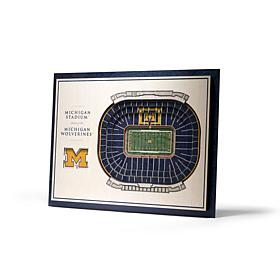 NCAA Michigan Wolverines StadiumViews 3-D Wall Art - Michigan Stadium 
