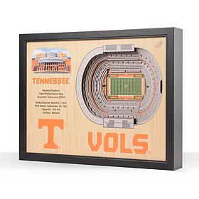 NCAA Tennessee Volunteers StadiumViews 3-D Wall Art - Neyland Stadium 
