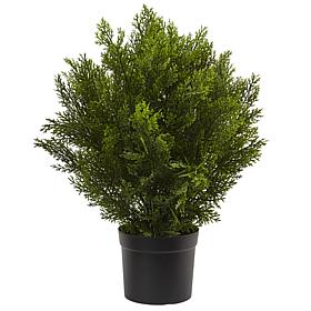 Nearly Natural 2 ft. Cedar Bush Indoor/Outdoor Plant