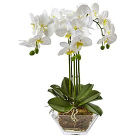 Nearly Natural 22" Phalaenopsis in Glass Vase