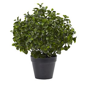 Nearly Natural 23" Peperomia Plant UV-Resistant Indoor/Outdoor