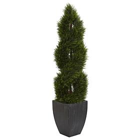 Nearly Natural 5 ft. Double Cypress Spiral Topiary in Black Planter
