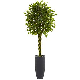 Nearly Natural 6.5 ft. Artificial Braided Ficus Tree in Planter