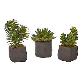 Nearly Natural Mixed Succulent Trio Artificial Plant (Set of 3)