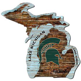 Officially Licensed NCAA Michigan State Distressed State with Logo