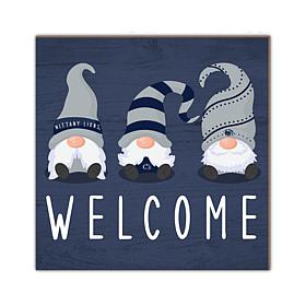 Officially Licensed NCAA Penn State University Welcome Gnomes Sign