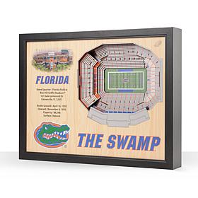 Officially Licensed NCAA Stadium Wall Art  - Florida Gators