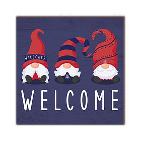 Officially Licensed NCAA University of Arizona Welcome Gnomes Sign