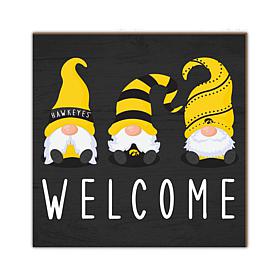 Officially Licensed NCAA University of Iowa Welcome Gnomes Sign