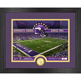 Officially Licensed NFL Vikings Stadium Bronze Coin Photo Mint