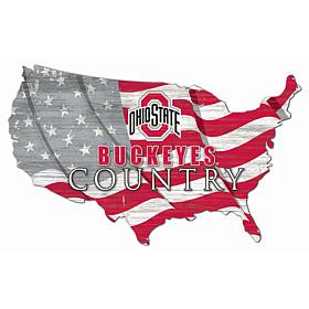 Ohio State University USA Shape Flag Cutout
