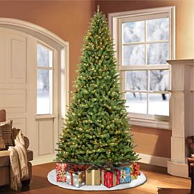 Puleo Intl. Pre-Lit 10' Berkshire Fir Artificial Christmas Tree, Green