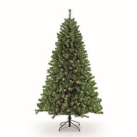 Puleo Intl. Pre-Lit 6.5' Northern Fir Artificial Christmas Tree, Green