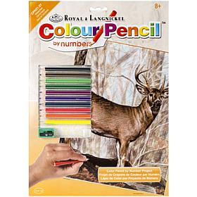 Royal Brush Color Pencil By Number Kit  - Whitetail Buck