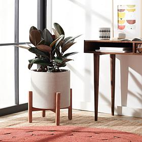 Safavieh Jesper Planter