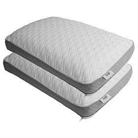 Sealy Premium Memory Foam Pillow 2-pack 