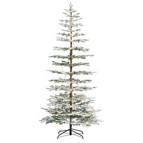 Seasonal LLC 9' Sierra Pine Christmas Tree Pre-Lit Warm White