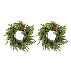 Set of 2 14" D Christmas PE Wreaths