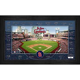 St. Louis Cardinals Framed 2025 Signature Field Team Roster