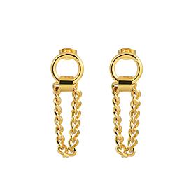 Stately Steel Chain Drop Earrings