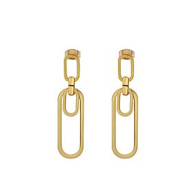Stately Steel Paperclip Earrings