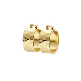 Stately Steel Stainless Steel Hugger Earrings