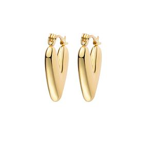 Stately Steel Stainless Steel V Shape Earrings