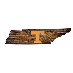University of Tennessee Distressed State with Logo